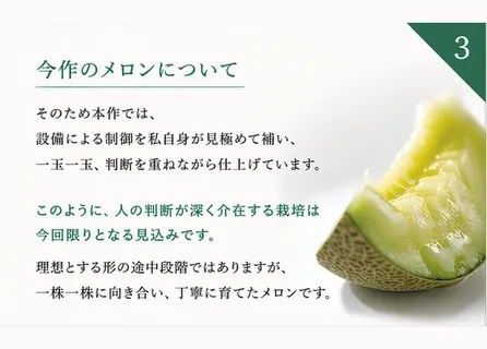 メロンの購入をご検討の方へ
