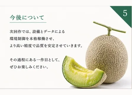 メロンの購入をご検討の方へ