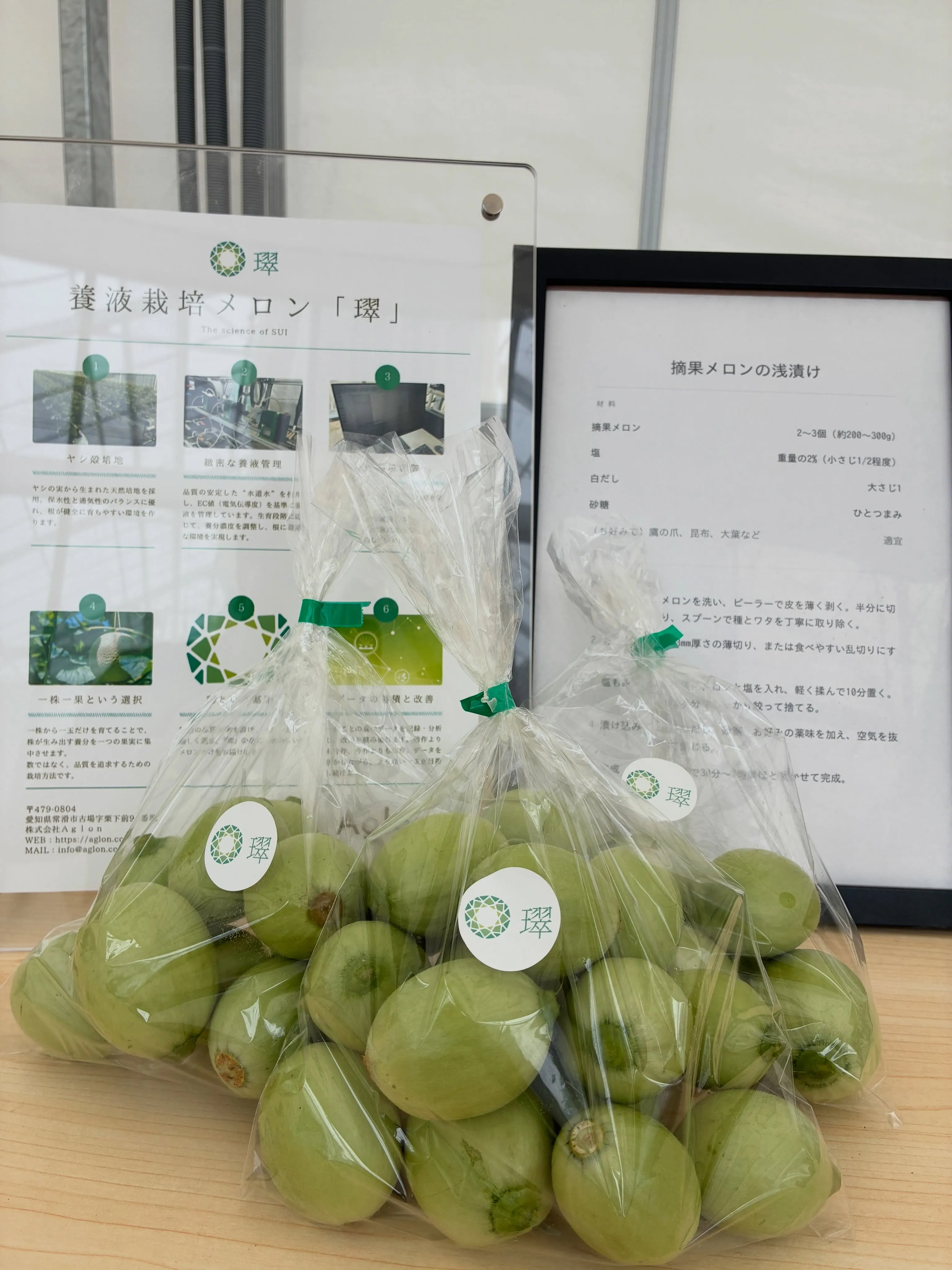 摘果メロン、収穫始まりました!