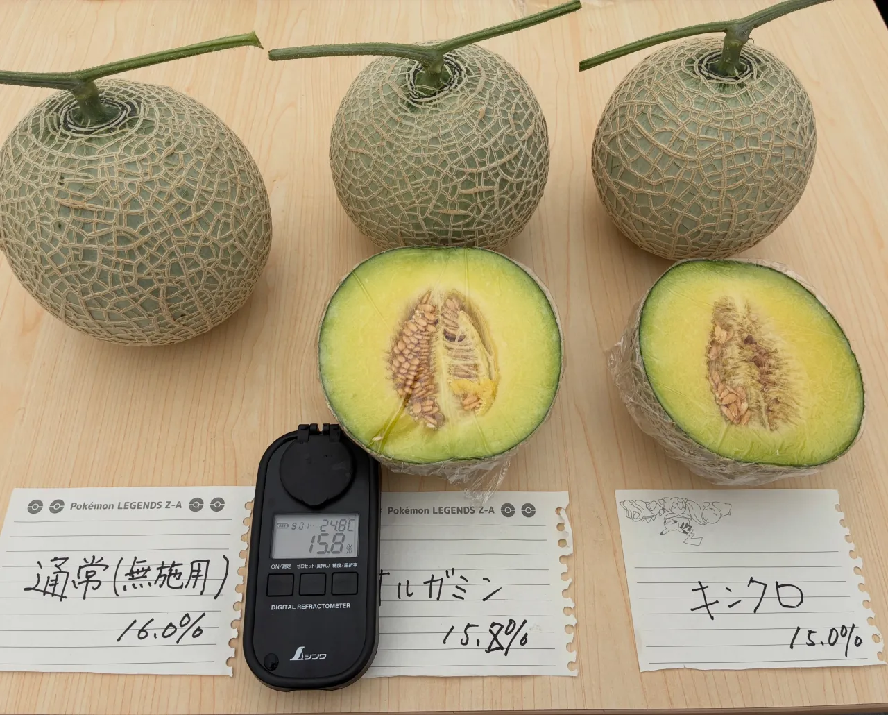 【ハウス直売のお知らせ🍈】