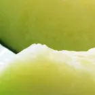 プライバシーポリシー