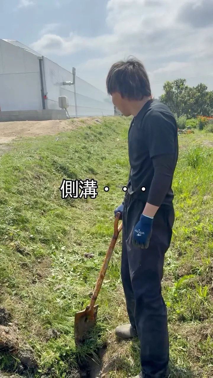 メロン農家、今日はスコップです。