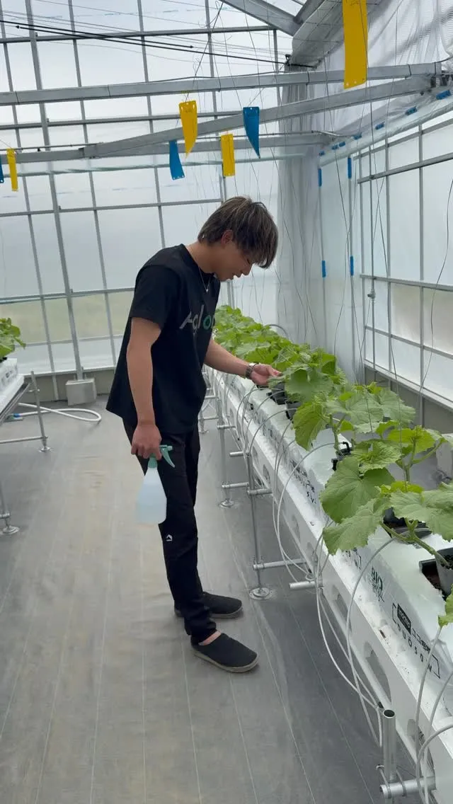 この白い粉放置するとやばいです。