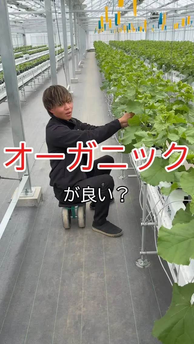 その農法論争、本質そこですか？