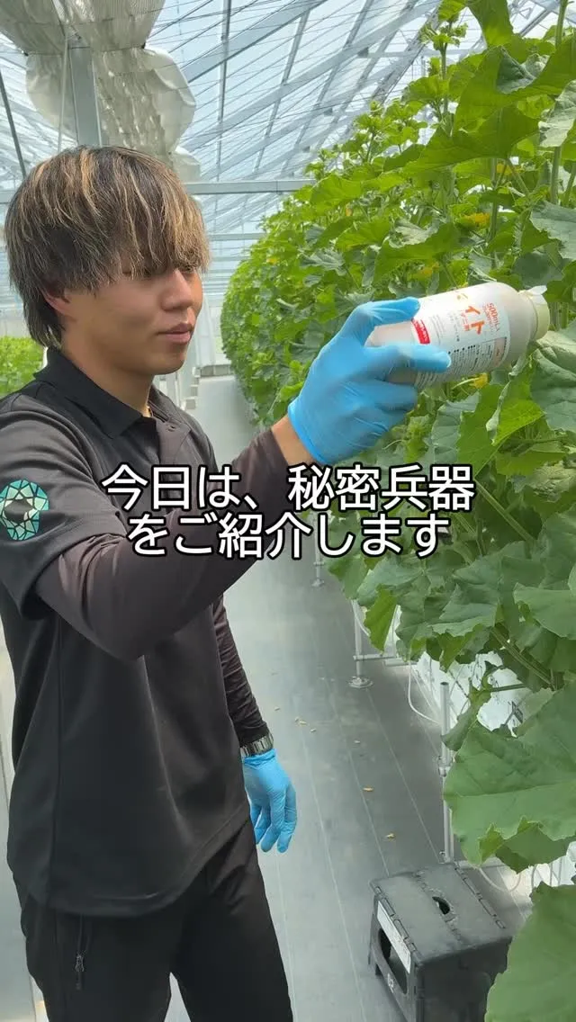 ダニを放します。