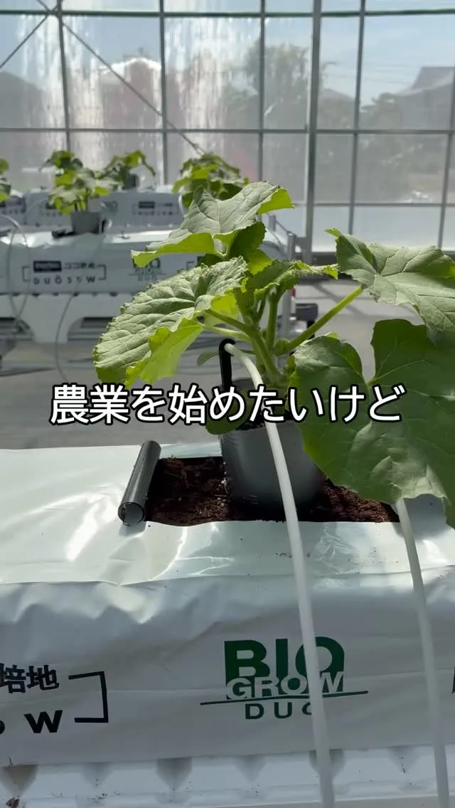 農業を始めたいけど、何から始めたらいいかわからない。